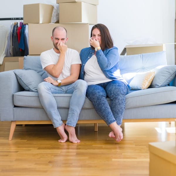 Love Real Estate or Furniture?